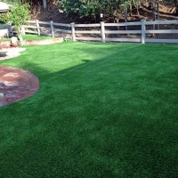 Synthetic Turf Supplier Fowlerton, Texas Pet Turf, Backyard Designs