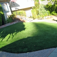 Synthetic Turf Supplier Greatwood, Texas Garden Ideas, Front Yard Landscape Ideas