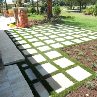 Synthetic Turf Supplier Salado, Texas Home And Garden, Backyard Designs