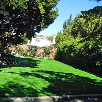 Turf Grass Christine, Texas Garden Ideas, Backyard Landscaping