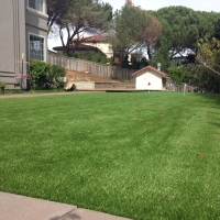 Turf Grass Rio Bravo, Texas Putting Green Turf, Beautiful Backyards