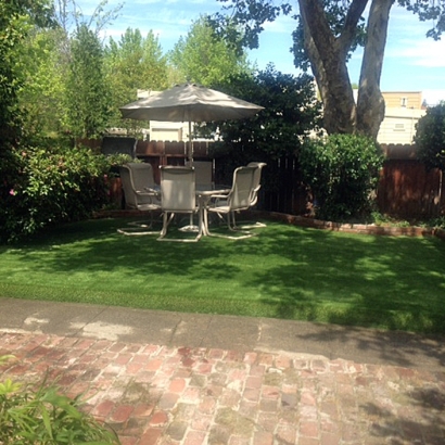 Artificial Grass Carpet Bandera, Texas Landscape Photos, Backyard Ideas