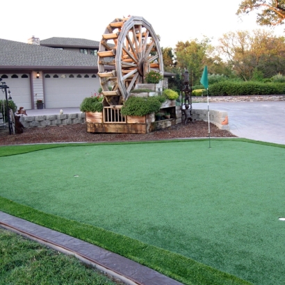 Artificial Grass Carpet Eagle Pass, Texas Diy Putting Green, Front Yard Landscape Ideas