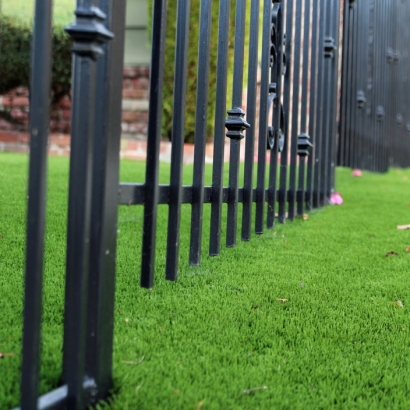 Artificial Grass Paisano Park Colonia, Texas Landscaping Business, Front Yard Landscaping Ideas