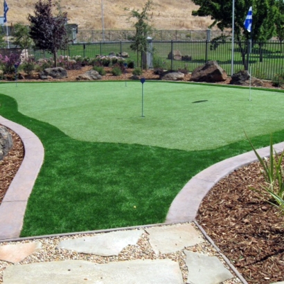 Artificial Grass Rockport, Texas Office Putting Green, Backyards