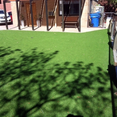 Artificial Grass Sinton, Texas Landscape Ideas, Backyard Landscape Ideas