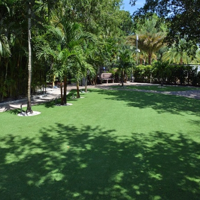 Artificial Grass Volente, Texas Landscape Design, Commercial Landscape