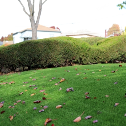 Artificial Lawn Barton Creek, Texas Landscape Ideas, Front Yard Landscaping Ideas