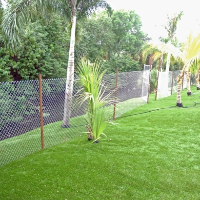 Artificial Lawn Lexington, Texas Lawn And Landscape, Backyard Ideas