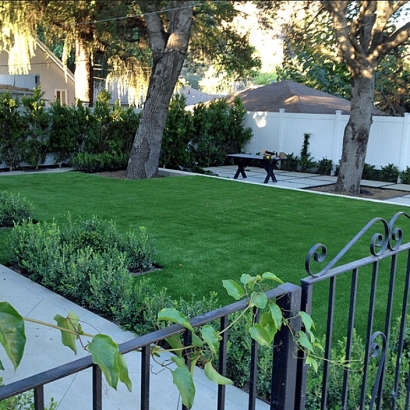 Artificial Turf Cost Cotulla, Texas Lawn And Garden, Front Yard Design