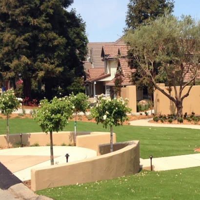 Artificial Turf Cost Fayetteville, Texas Rooftop, Small Front Yard Landscaping