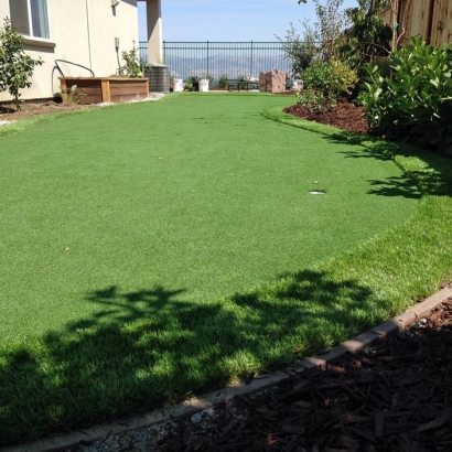 Artificial Turf Horseshoe Bay, Texas Landscape Rock, Small Backyard Ideas