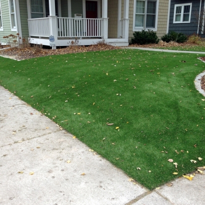 Artificial Turf Installation Alamo Heights, Texas Landscape Design, Front Yard Landscape Ideas