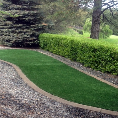 Artificial Turf Installation Charlotte, Texas Design Ideas