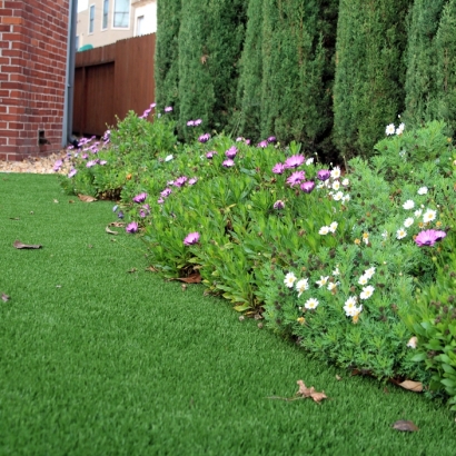 Artificial Turf Loma Grande Colonia, Texas Landscaping, Front Yard Landscaping Ideas