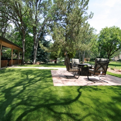 Artificial Turf Wimberley, Texas Landscaping Business, Backyard