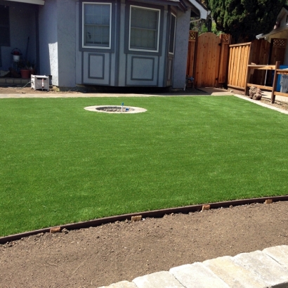 Best Artificial Grass Crystal City, Texas Landscaping Business, Front Yard Landscaping Ideas