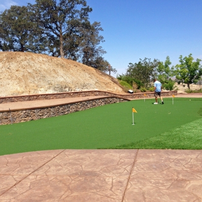 Best Artificial Grass Rosita South, Texas Rooftop, Backyard Makeover