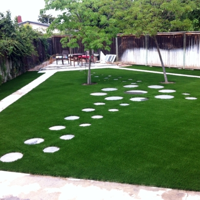 Fake Grass Carpet Bee Cave, Texas Garden Ideas, Backyard Designs