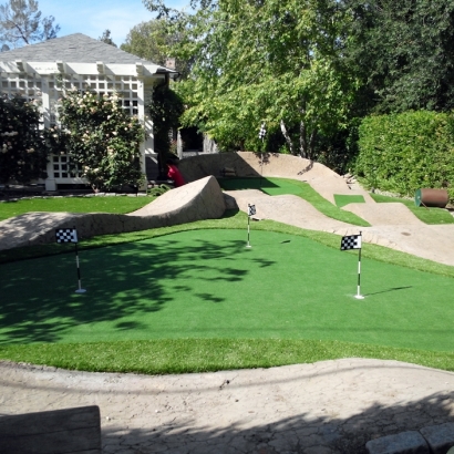 Fake Grass Carpet Bruceville-Eddy, Texas Indoor Putting Greens, Backyard