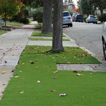 Fake Grass Carpet Cuero, Texas Landscape Design, Front Yard Landscape Ideas