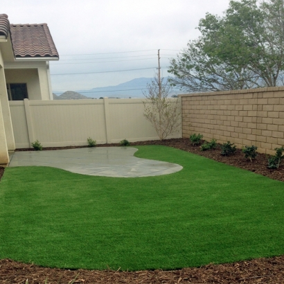 Fake Grass Carpet Edna, Texas Home And Garden, Backyard Makeover