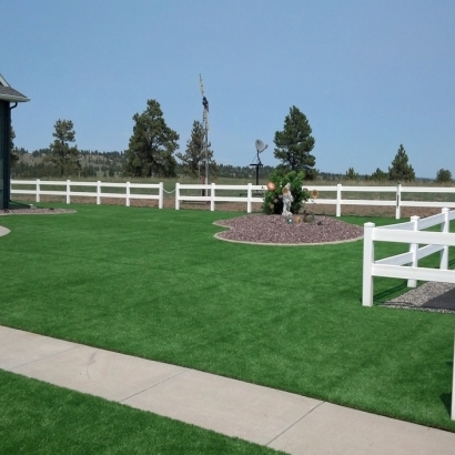 Fake Grass Carpet Industry, Texas Garden Ideas, Front Yard Landscape Ideas