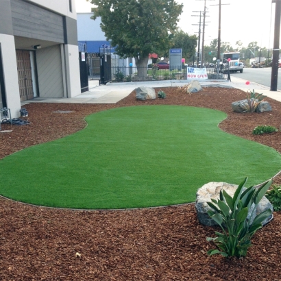 Fake Grass Carpet Pawnee, Texas Garden Ideas, Commercial Landscape