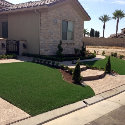 Fake Grass Carpet Point Venture, Texas Landscaping Business, Landscaping Ideas For Front Yard