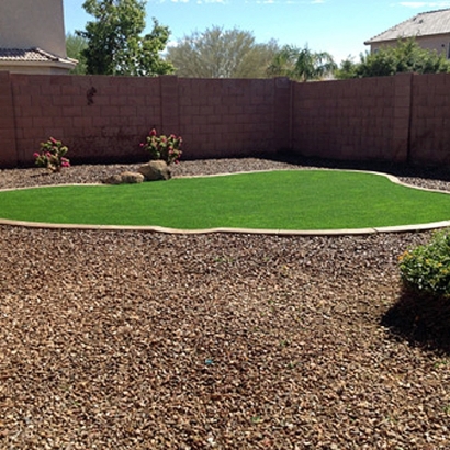 Fake Grass Carpet Windemere, Texas Lawn And Landscape, Backyard Landscaping Ideas