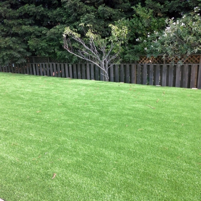 Fake Grass Cumings, Texas City Landscape, Backyard Design