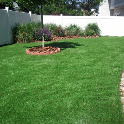 Fake Lawn La Vernia, Texas City Landscape, Backyard Design