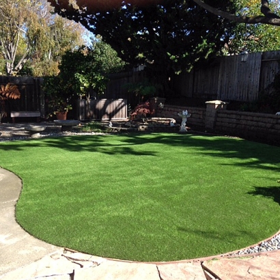 Fake Lawn Lexington, Texas Roof Top, Backyard Garden Ideas