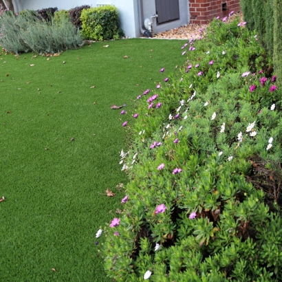 Fake Turf Kingsland, Texas Home And Garden, Front Yard Landscape Ideas