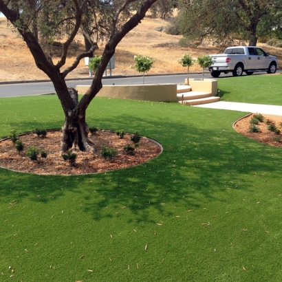 Fake Turf Seadrift, Texas Rooftop, Front Yard Landscape Ideas