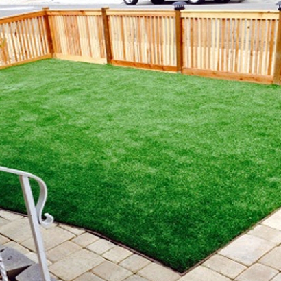 Fake Turf Tierra Grande, Texas Landscape Photos, Backyard Landscaping