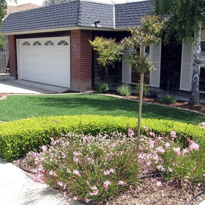 Faux Grass Carrizo Springs, Texas City Landscape, Front Yard Landscape Ideas