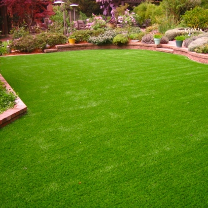 Faux Grass San Carlos Number 1 Colonia, Texas Lawn And Garden, Backyard Ideas