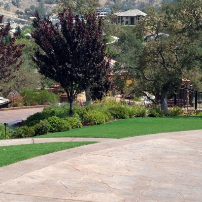 Grass Carpet Eldorado, Texas Landscape Design, Front Yard Landscaping