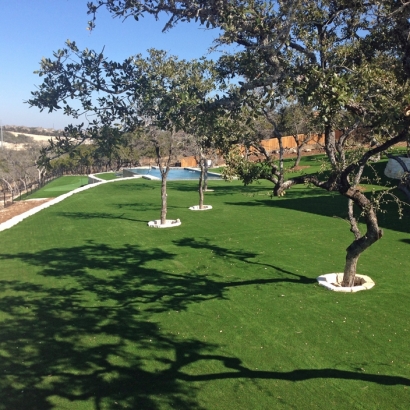 Grass Carpet Lamar, Texas Landscaping, Beautiful Backyards