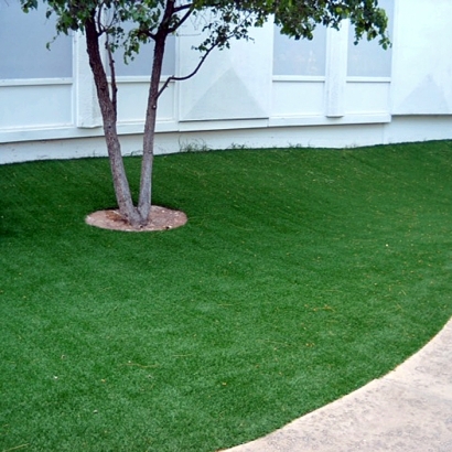 Grass Carpet Live Oak, Texas Landscape Photos, Commercial Landscape