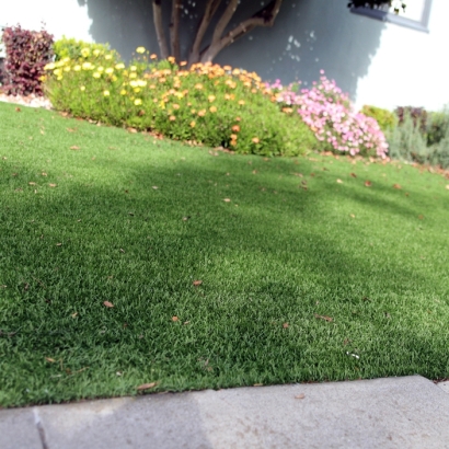 Grass Carpet Round Mountain, Texas Landscape Ideas, Front Yard Landscaping Ideas