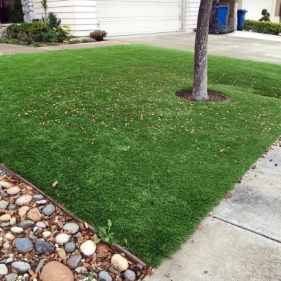 Grass Installation Blue Berry Hill, Texas Garden Ideas, Front Yard