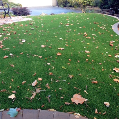 Grass Installation North Pearsall, Texas Gardeners, Front Yard Ideas