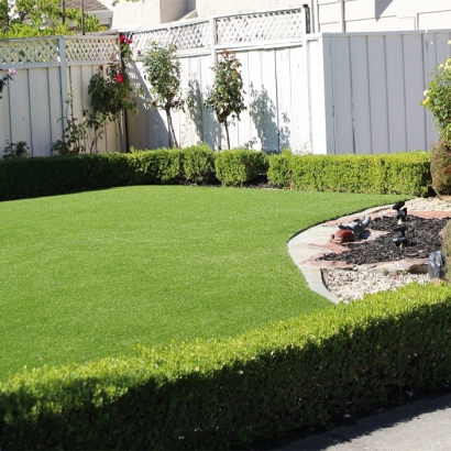 Grass Turf El Cenizo, Texas Gardeners, Backyard Ideas