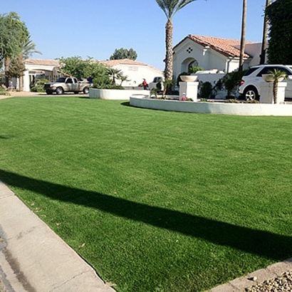 Grass Turf Moulton, Texas Landscape Ideas, Front Yard Landscaping Ideas