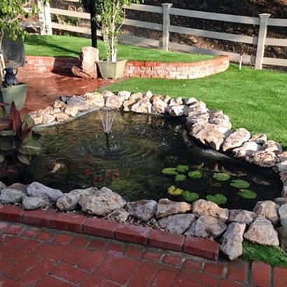 Grass Turf Tulsita, Texas Home And Garden, Backyard Landscape Ideas