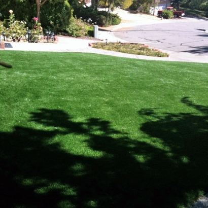 Green Lawn Kirby, Texas Lawn And Landscape, Front Yard Landscape Ideas