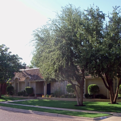 Installing Artificial Grass Orange Grove, Texas City Landscape, Front Yard