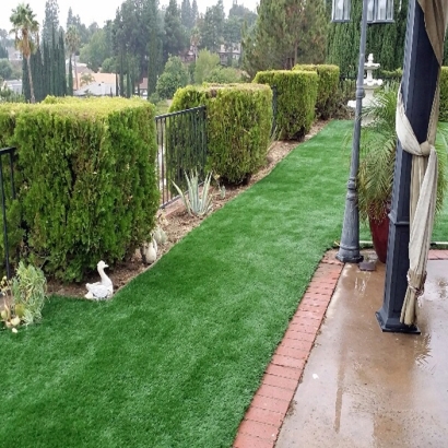 Installing Artificial Grass Palacios, Texas Design Ideas, Small Backyard Ideas